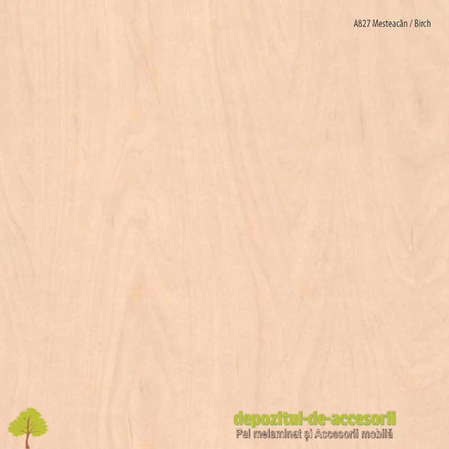 PAL Melaminat Mesteacăn A827
