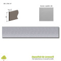 Cant ABS Aluminiu satinat 22mm x 2mm