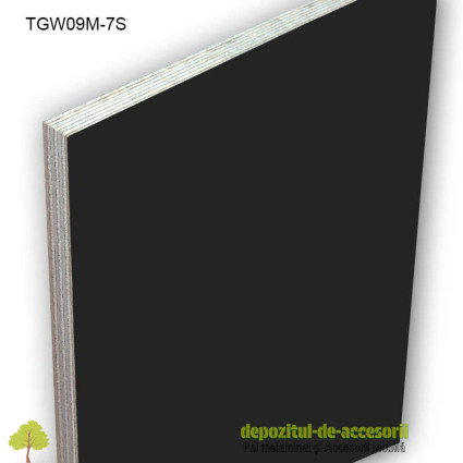 TEGO Placaj cofrare 2500x1250x9mm Mesteacan