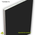 TEGO Placaj cofrare 2500x1250x9mm Mesteacăn